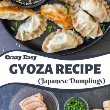 Assorted dumplings on a plate with dipping sauce